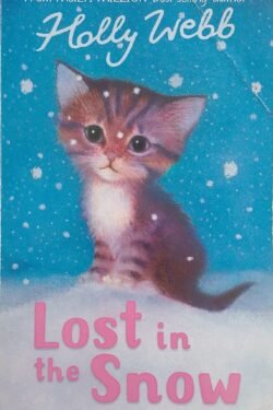 Lost In Snow