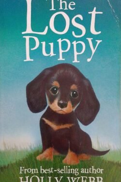 Lost Puppy