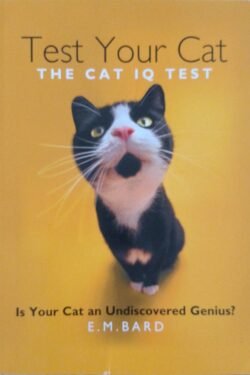Test Your Cat: The Cat IQ Test