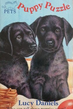 Puppy Puzzle (Animal Ark Pets 1)