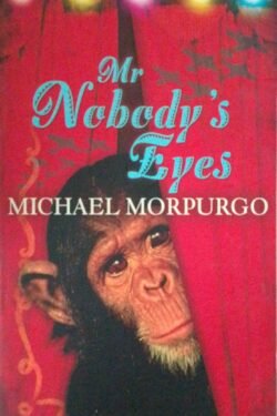 Mr. Nobody's Eyes