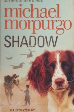 Shadow